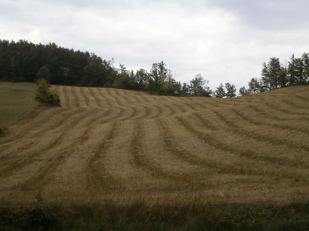 Societa Agricola Cacigolara Villa Borgo Val di Taro Bagian luar foto