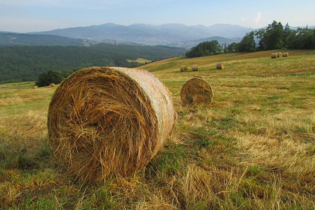 Societa Agricola Cacigolara Villa Borgo Val di Taro Bagian luar foto