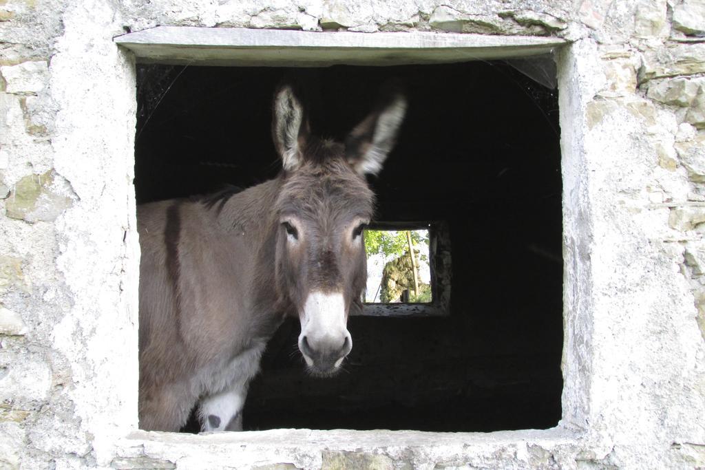 Societa Agricola Cacigolara Villa Borgo Val di Taro Bagian luar foto