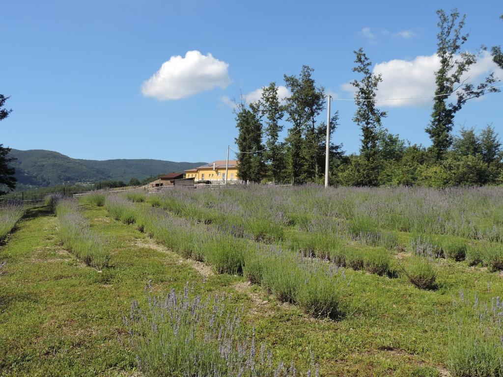Societa Agricola Cacigolara Villa Borgo Val di Taro Bagian luar foto