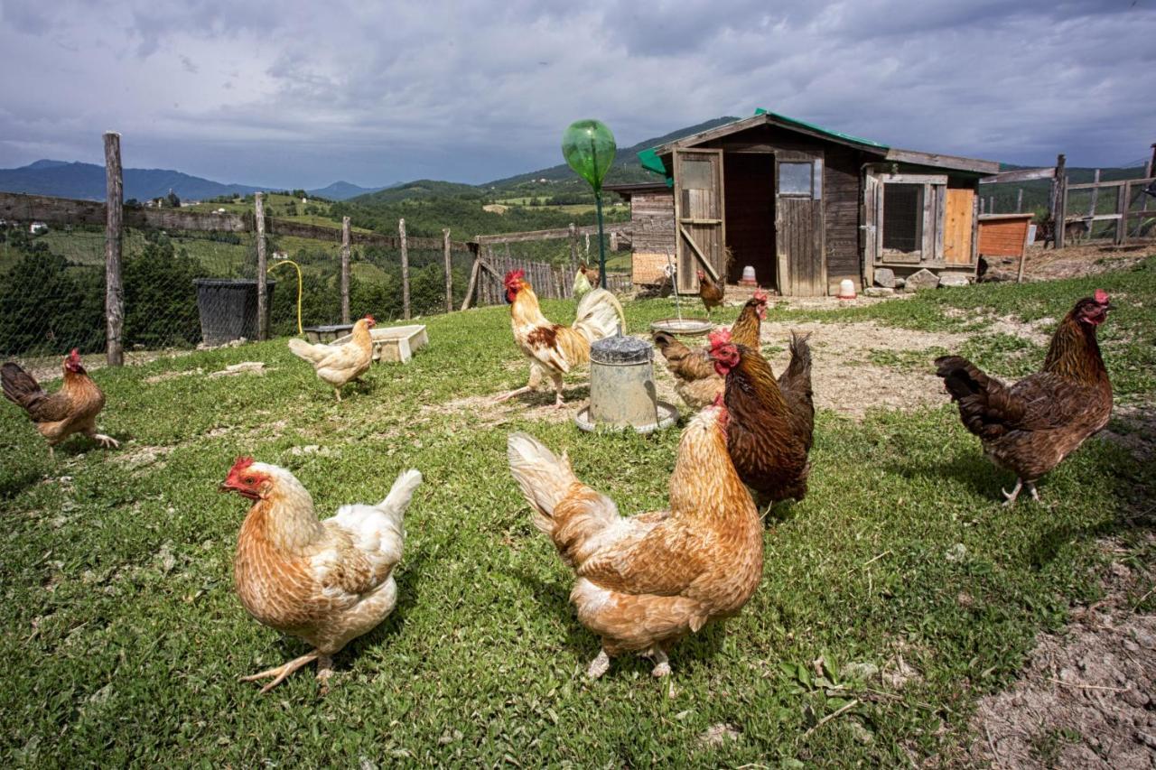 Societa Agricola Cacigolara Villa Borgo Val di Taro Bagian luar foto