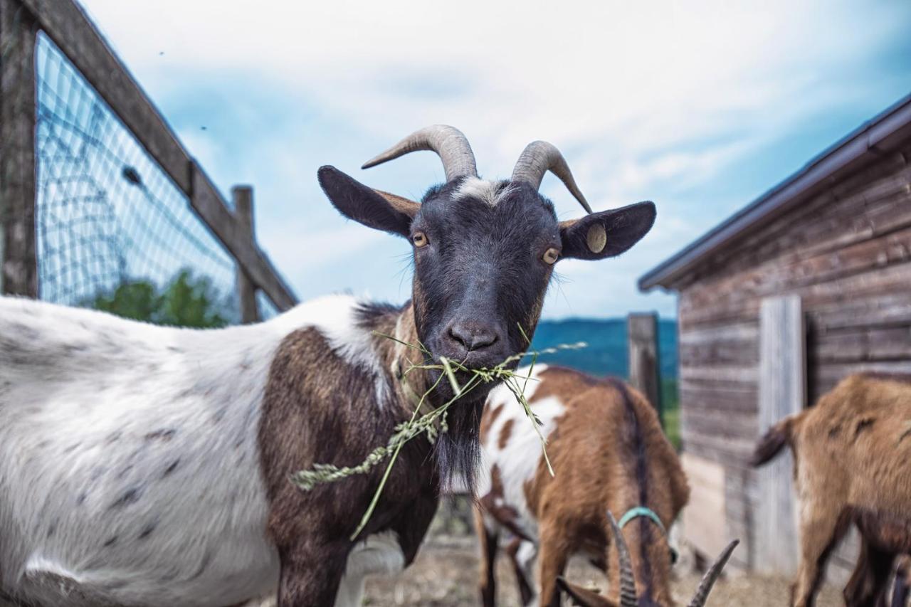 Societa Agricola Cacigolara Villa Borgo Val di Taro Bagian luar foto